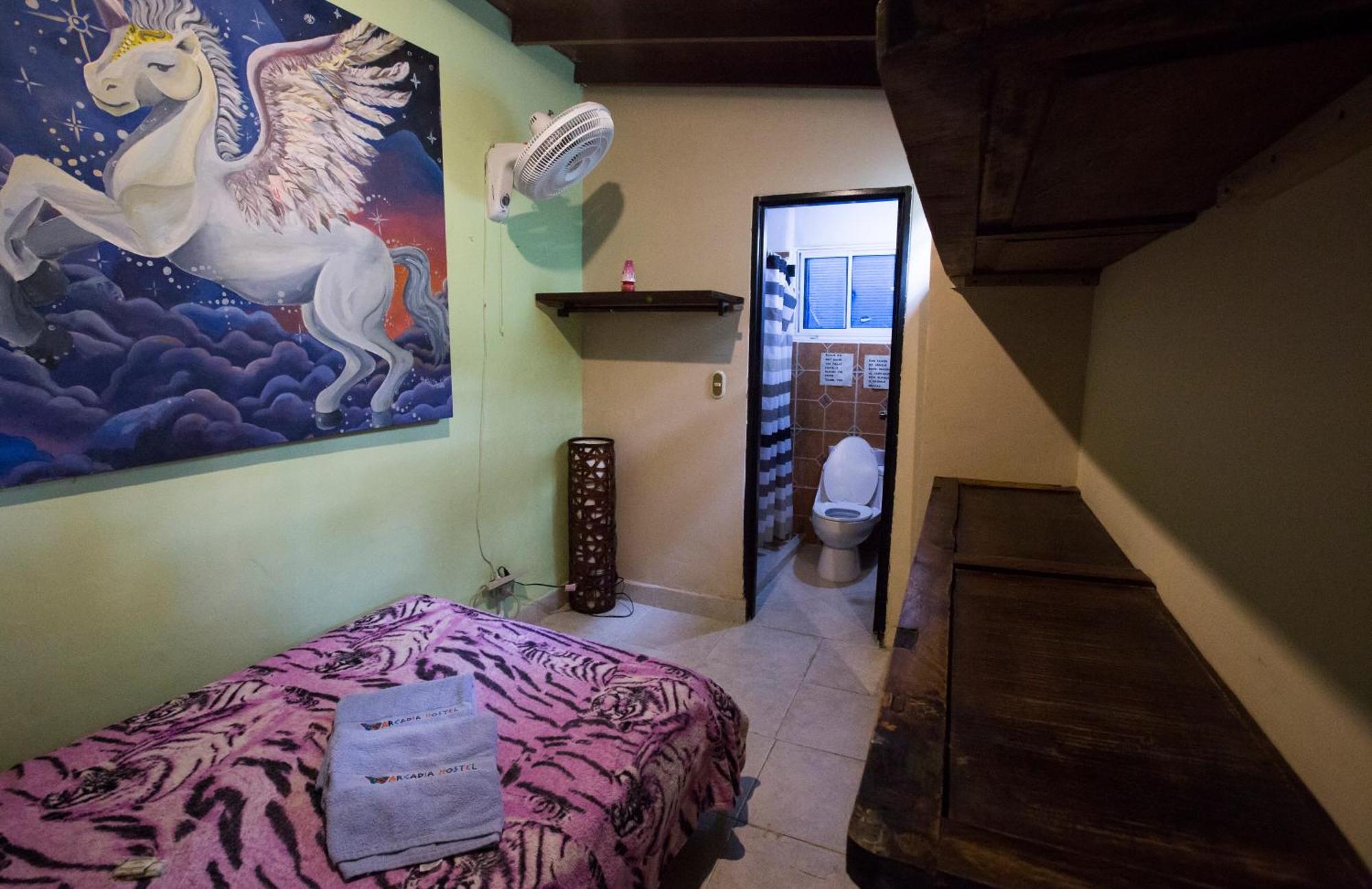 Arcadia Hostel Меделин Стая снимка