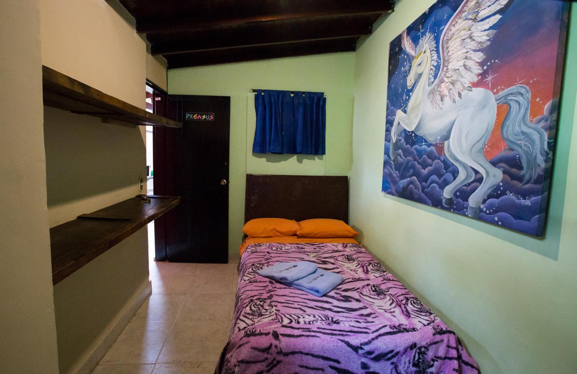 Arcadia Hostel Меделин Стая снимка